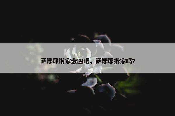 萨摩耶拆家太凶吧，萨摩耶拆家吗?