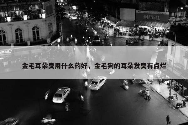 金毛耳朵臭用什么药好，金毛狗的耳朵发臭有点烂