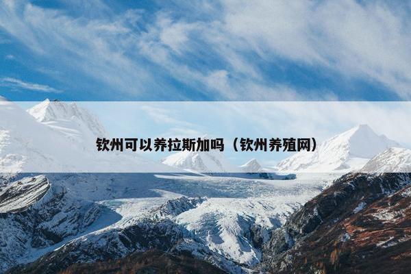钦州可以养拉斯加吗（钦州养殖网）