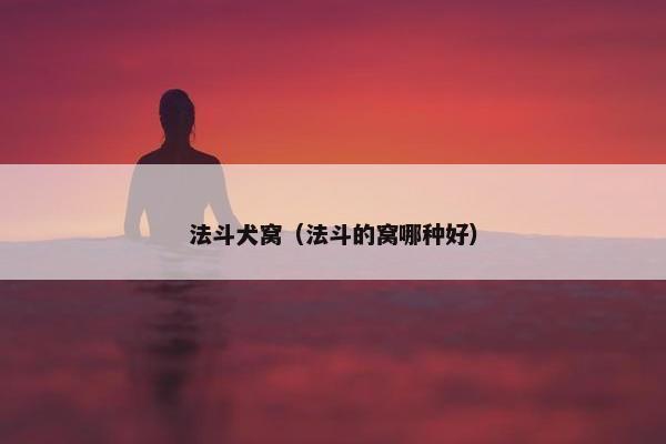 法斗犬窝（法斗的窝哪种好）