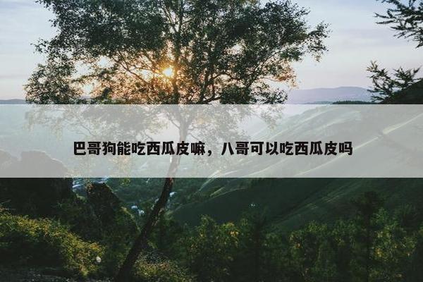 巴哥狗能吃西瓜皮嘛，八哥可以吃西瓜皮吗