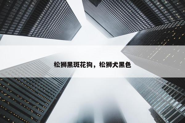 松狮黑斑花狗，松狮犬黑色