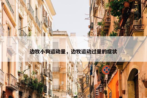 边牧小狗运动量，边牧运动过量的症状