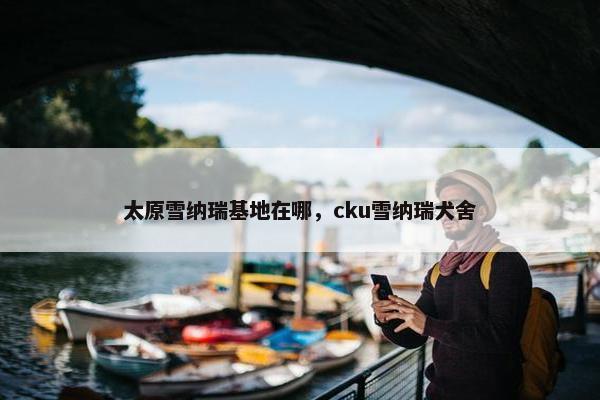 太原雪纳瑞基地在哪，cku雪纳瑞犬舍