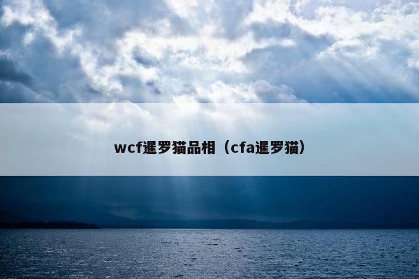 wcf暹罗猫品相（cfa暹罗猫）