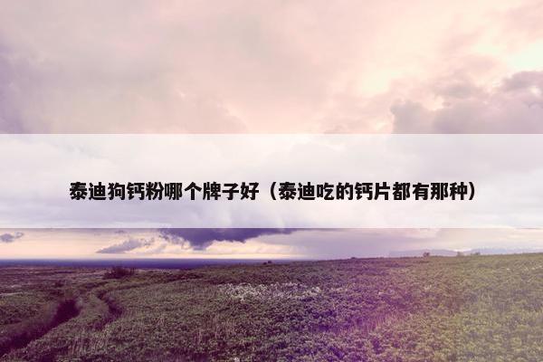 泰迪狗钙粉哪个牌子好（泰迪吃的钙片都有那种）