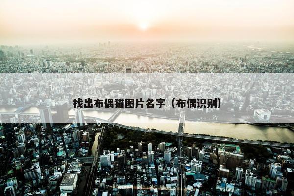 找出布偶猫图片名字（布偶识别）