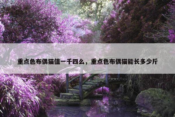 重点色布偶猫值一千四么，重点色布偶猫能长多少斤
