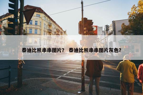 泰迪比熊串串图片？ 泰迪比熊串串图片灰色？