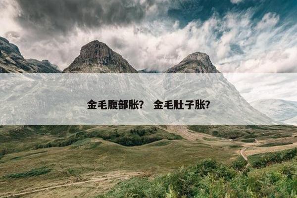金毛腹部胀？ 金毛肚子胀？