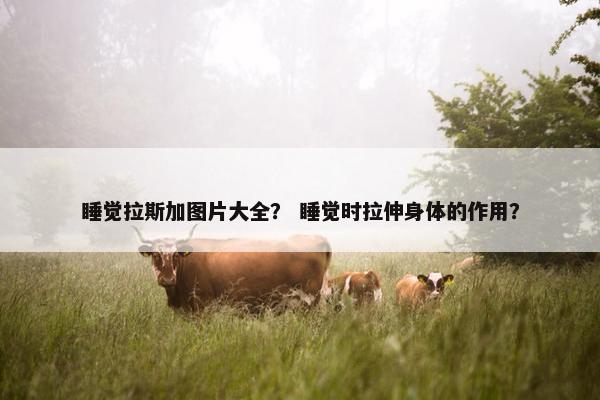 睡觉拉斯加图片大全？ 睡觉时拉伸身体的作用？