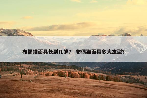 布偶猫面具长到几岁？ 布偶猫面具多大定型？