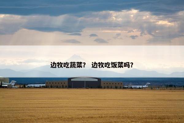 边牧吃蔬菜？ 边牧吃饭菜吗？