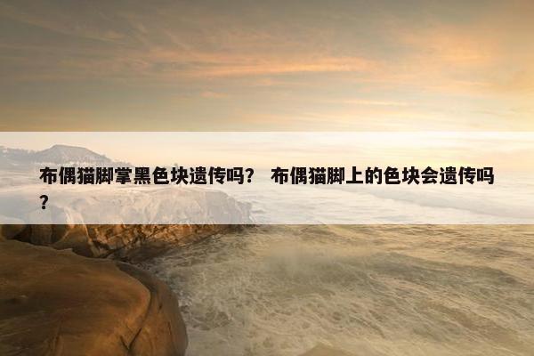 布偶猫脚掌黑色块遗传吗？ 布偶猫脚上的色块会遗传吗？