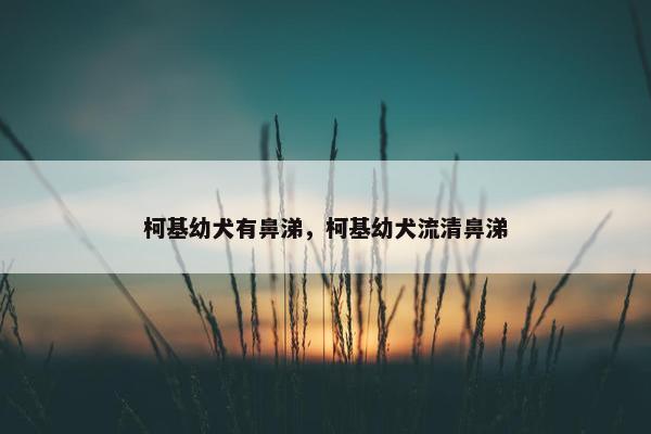 柯基幼犬有鼻涕，柯基幼犬流清鼻涕
