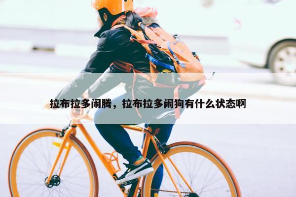 拉布拉多闹腾，拉布拉多闹狗有什么状态啊