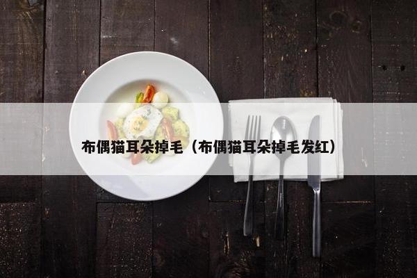 布偶猫耳朵掉毛（布偶猫耳朵掉毛发红）
