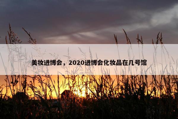 美妆进博会，2020进博会化妆品在几号馆