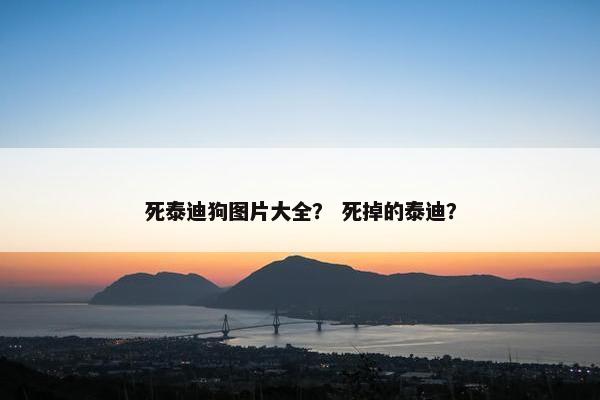 死泰迪狗图片大全？ 死掉的泰迪？