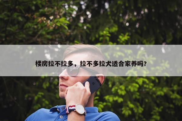 楼房拉不拉多，拉不多拉犬适合家养吗?