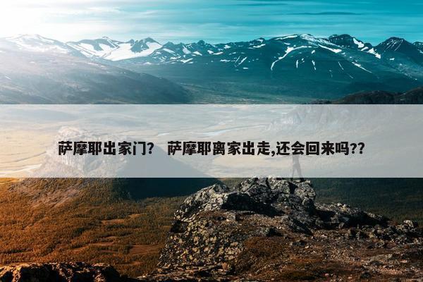 萨摩耶出家门？ 萨摩耶离家出走,还会回来吗?？