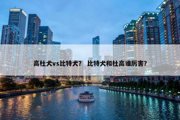 高杜犬vs比特犬？ 比特犬和杜高谁厉害？