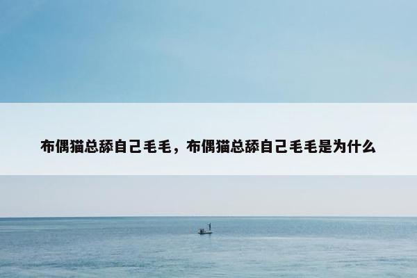 布偶猫总舔自己毛毛，布偶猫总舔自己毛毛是为什么