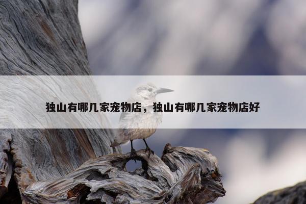 独山有哪几家宠物店，独山有哪几家宠物店好