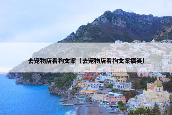去宠物店看狗文案（去宠物店看狗文案搞笑）
