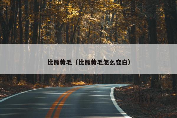 比熊黄毛（比熊黄毛怎么变白）
