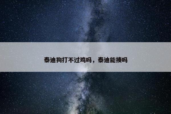 泰迪狗打不过鸡吗，泰迪能揍吗