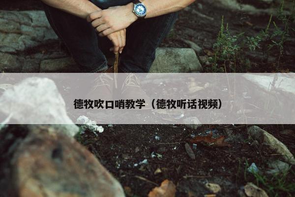 德牧吹口哨教学（德牧听话视频）