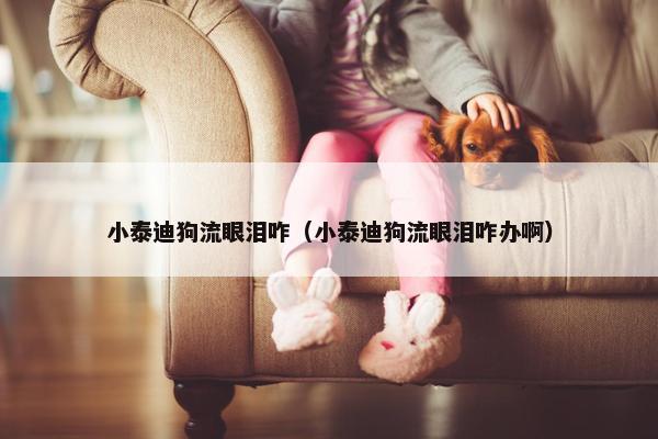 小泰迪狗流眼泪咋（小泰迪狗流眼泪咋办啊）