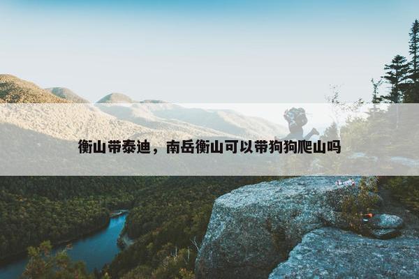 衡山带泰迪，南岳衡山可以带狗狗爬山吗