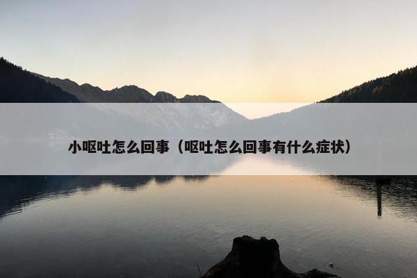小呕吐怎么回事（呕吐怎么回事有什么症状）