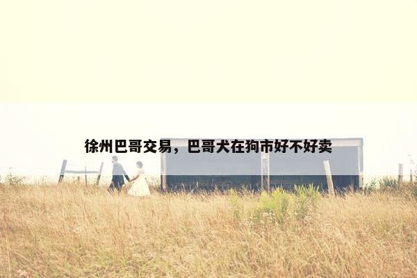 徐州巴哥交易，巴哥犬在狗市好不好卖