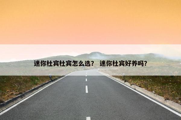 迷你杜宾杜宾怎么选？ 迷你杜宾好养吗？
