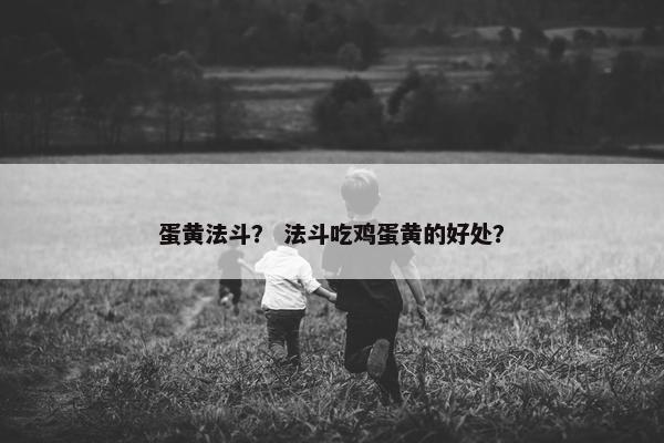 蛋黄法斗？ 法斗吃鸡蛋黄的好处？