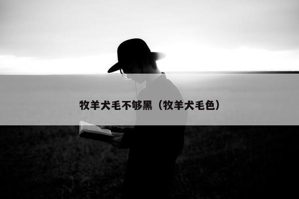 牧羊犬毛不够黑（牧羊犬毛色）