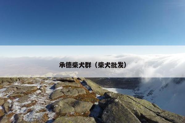 承德柴犬群（柴犬批发）