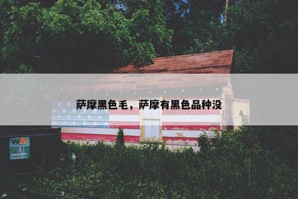 萨摩黑色毛，萨摩有黑色品种没