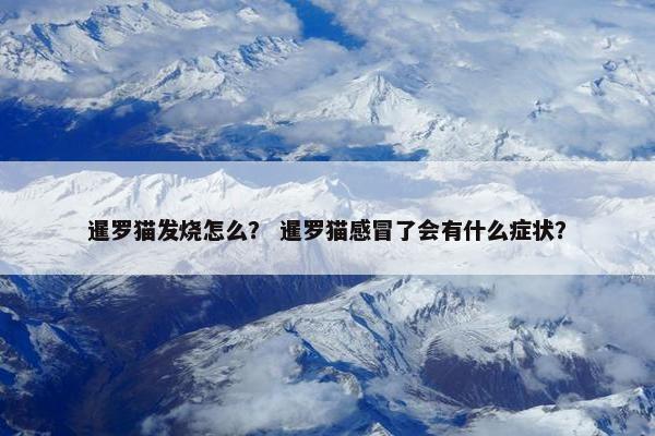 暹罗猫发烧怎么？ 暹罗猫感冒了会有什么症状？