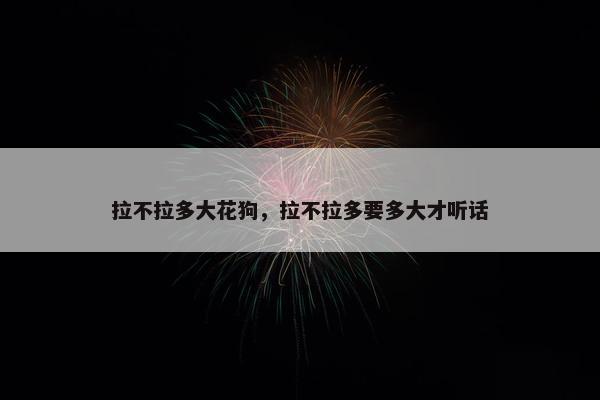 拉不拉多大花狗，拉不拉多要多大才听话