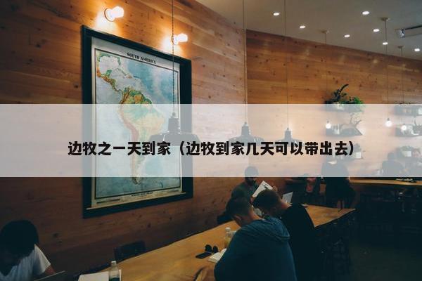边牧之一天到家（边牧到家几天可以带出去）