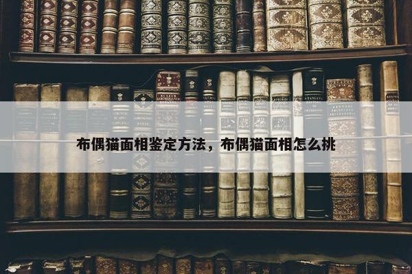 布偶猫面相鉴定方法，布偶猫面相怎么挑
