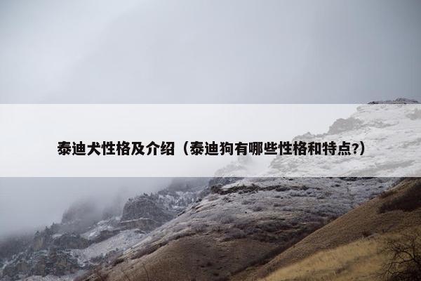 泰迪犬性格及介绍（泰迪狗有哪些性格和特点?）