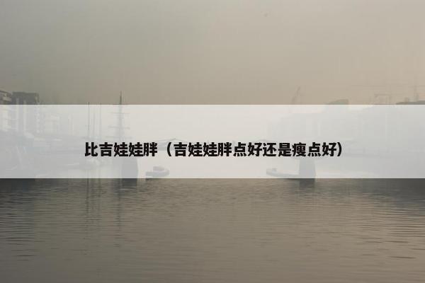 比吉娃娃胖（吉娃娃胖点好还是瘦点好）