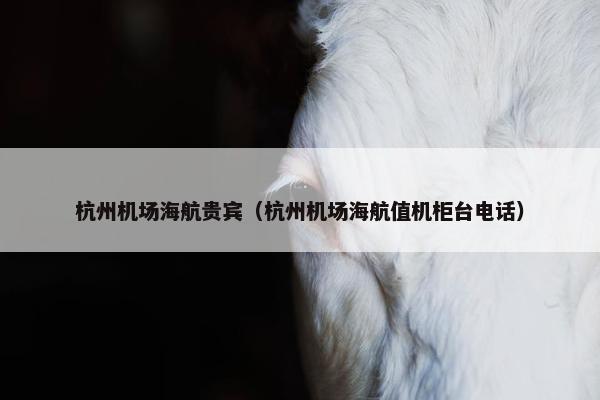 杭州机场海航贵宾（杭州机场海航值机柜台电话）
