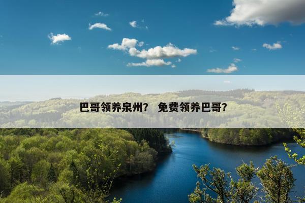 巴哥领养泉州？ 免费领养巴哥？