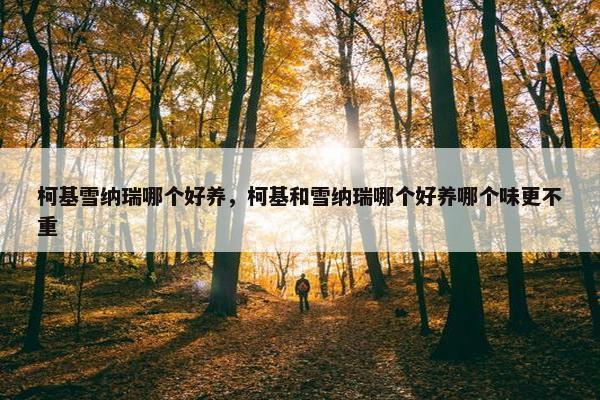 柯基雪纳瑞哪个好养，柯基和雪纳瑞哪个好养哪个味更不重